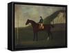 Creeper' a Bay Colt with Jockey Up at the Starting Post at the Running Gap in the Devils Ditch,…-John Nost Sartorius-Framed Stretched Canvas