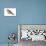 Creeper (Certhia Familiaris), Birds-Encyclopaedia Britannica-Stretched Canvas displayed on a wall