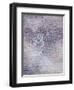 Creeper-Plants, 1932-Paul Klee-Framed Giclee Print