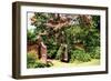 Crepe Myrtle I-Alan Hausenflock-Framed Photographic Print