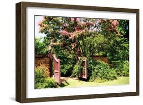 Crepe Myrtle I-Alan Hausenflock-Framed Photographic Print