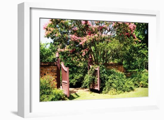 Crepe Myrtle I-Alan Hausenflock-Framed Photographic Print