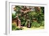 Crepe Myrtle I-Alan Hausenflock-Framed Photographic Print