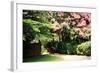 Crepe Myrtle II-Alan Hausenflock-Framed Photographic Print