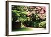 Crepe Myrtle II-Alan Hausenflock-Framed Photographic Print