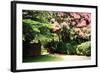 Crepe Myrtle II-Alan Hausenflock-Framed Photographic Print