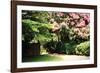 Crepe Myrtle II-Alan Hausenflock-Framed Photographic Print