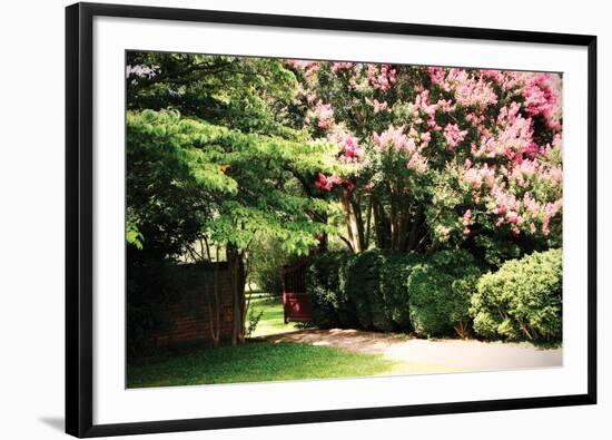 Crepe Myrtle II-Alan Hausenflock-Framed Photographic Print