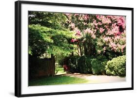 Crepe Myrtle II-Alan Hausenflock-Framed Photographic Print