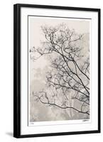 Crepe Myrtle-Donald Satterlee-Framed Giclee Print