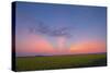 Crepuscular Rays at Sunset, Alberta, Canada-null-Stretched Canvas