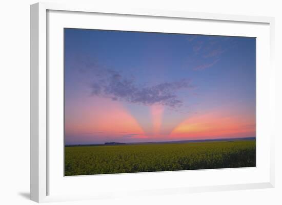 Crepuscular Rays at Sunset, Alberta, Canada-null-Framed Photographic Print