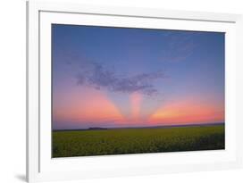 Crepuscular Rays at Sunset, Alberta, Canada-null-Framed Photographic Print