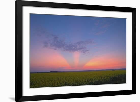 Crepuscular Rays at Sunset, Alberta, Canada-null-Framed Photographic Print