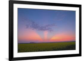 Crepuscular Rays at Sunset, Alberta, Canada-null-Framed Photographic Print