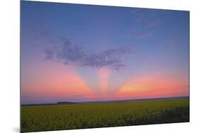 Crepuscular Rays at Sunset, Alberta, Canada-null-Mounted Photographic Print