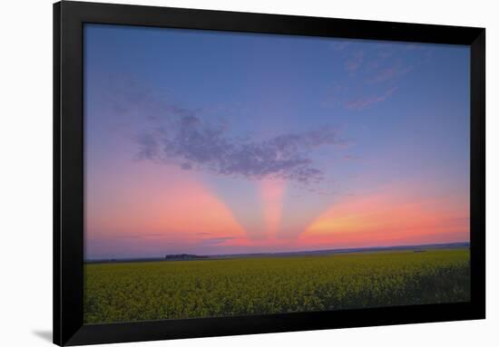 Crepuscular Rays at Sunset, Alberta, Canada-null-Framed Photographic Print