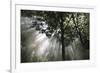 Crescendo of Light-Bill Philip-Framed Giclee Print