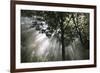 Crescendo of Light-Bill Philip-Framed Giclee Print