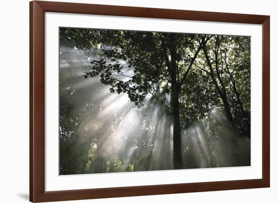 Crescendo of Light-Bill Philip-Framed Giclee Print