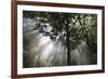 Crescendo of Light-Bill Philip-Framed Giclee Print