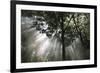 Crescendo of Light-Bill Philip-Framed Giclee Print