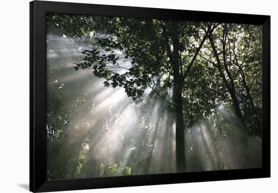 Crescendo of Light-Bill Philip-Framed Giclee Print