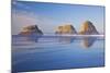 Crescent Beach along Ecola State Park, Oregon Coast, Pacific Ocean-Craig Tuttle-Mounted Photographic Print