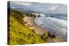 Crescent Beach at Ecola State Park in Cannon Beach, Oregon, USA-Chuck Haney-Stretched Canvas