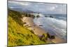 Crescent Beach at Ecola State Park in Cannon Beach, Oregon, USA-Chuck Haney-Mounted Photographic Print