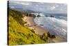 Crescent Beach at Ecola State Park in Cannon Beach, Oregon, USA-Chuck Haney-Stretched Canvas