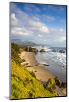 Crescent Beach at Ecola State Park in Cannon Beach, Oregon, USA-Chuck Haney-Mounted Photographic Print