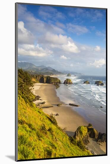 Crescent Beach at Ecola State Park in Cannon Beach, Oregon, USA-Chuck Haney-Mounted Photographic Print