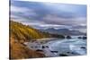 Crescent Beach at Ecola State Park in Cannon Beach, Oregon, USA-Chuck Haney-Stretched Canvas