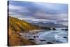 Crescent Beach at Ecola State Park in Cannon Beach, Oregon, USA-Chuck Haney-Stretched Canvas