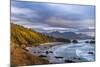 Crescent Beach at Ecola State Park in Cannon Beach, Oregon, USA-Chuck Haney-Mounted Photographic Print