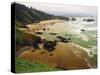 Crescent Beach from Ecola State Park, Oregon, USA-Michel Hersen-Stretched Canvas