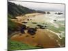 Crescent Beach from Ecola State Park, Oregon, USA-Michel Hersen-Mounted Premium Photographic Print