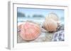 Crescent Beach Shells 10-Alan Blaustein-Framed Photographic Print