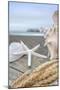 Crescent Beach Shells 12-Alan Blaustein-Mounted Photographic Print