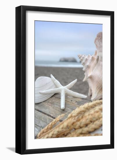 Crescent Beach Shells 12-Alan Blaustein-Framed Premium Photographic Print