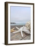 Crescent Beach Shells 14-Alan Blaustein-Framed Photographic Print