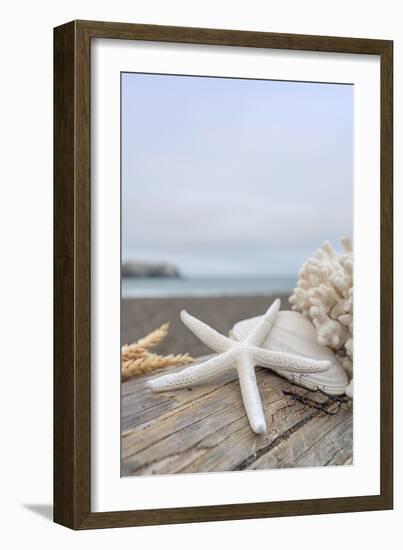 Crescent Beach Shells 14-Alan Blaustein-Framed Photographic Print