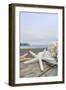 Crescent Beach Shells 14-Alan Blaustein-Framed Photographic Print