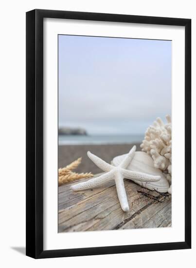 Crescent Beach Shells 14-Alan Blaustein-Framed Photographic Print