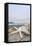 Crescent Beach Shells 14-Alan Blaustein-Framed Stretched Canvas