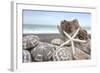 Crescent Beach Shells 5-Alan Blaustein-Framed Photographic Print