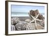 Crescent Beach Shells 5-Alan Blaustein-Framed Photographic Print