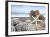 Crescent Beach Shells 5-Alan Blaustein-Framed Photographic Print