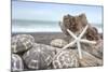 Crescent Beach Shells 5-Alan Blaustein-Mounted Photographic Print